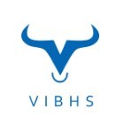 Đánh giá VIBHS Financial 2024