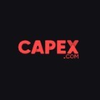 Capex评论2024